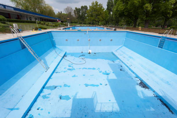 Best Water damage contractors near me  in Harlan, KY