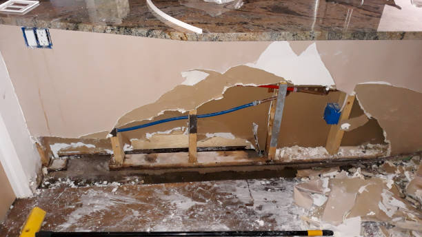 Best Water damage cleanup near me  in Harlan, KY