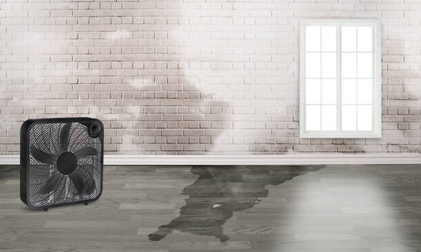 Best 24/7 water damage repair  in Harlan, KY