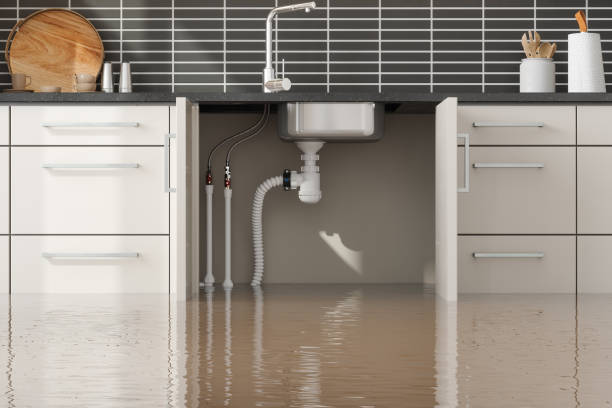 Best Water damage restoration near me  in Harlan, KY