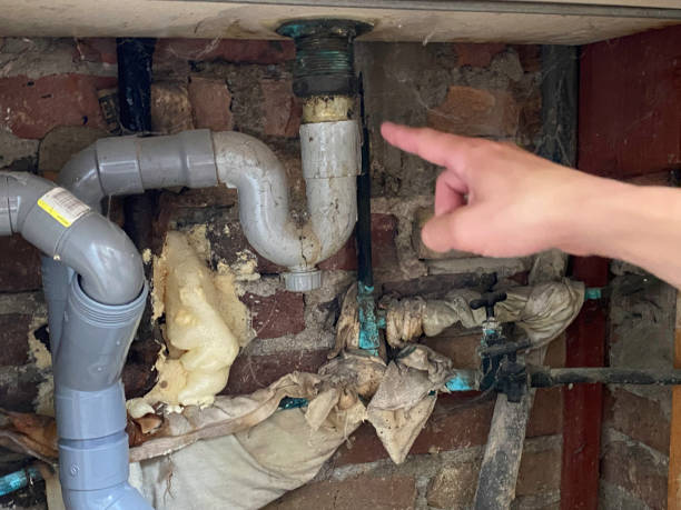 Best Sewage cleanup and water damage restoration  in Harlan, KY