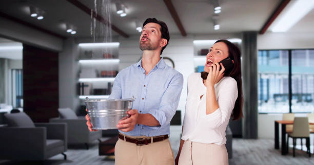 Best Fire Damage Restoration  in Harlan, KY